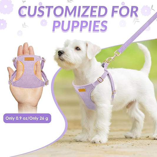 SlowTon Dog Harness Small Sized Dog - Soft XXS Dog Harness and Leash Set No Pull No Chock, Adjustable Lightweight Puppy Harness for XS Small Medium Dogs Cats (Solid Purple, S)