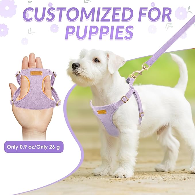 SlowTon Dog Harness Small Sized Dog - Soft XXS Dog Harness and Leash Set No Pull No Chock, Adjustable Lightweight Puppy Harness for XS Small Medium Dogs Cats (Solid Purple, M)