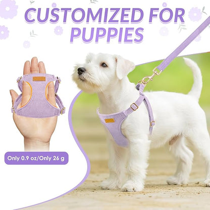 SlowTon Dog Harness Small Sized Dog - Soft XXS Dog Harness and Leash Set No Pull No Chock, Adjustable Lightweight Puppy Harness for XS Small Medium Dogs Cats (Solid Purple, XXS)