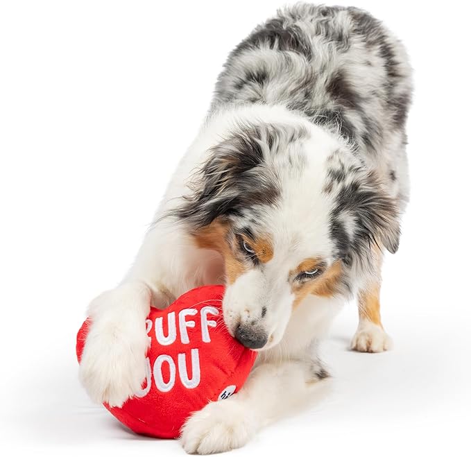 Huxley & Kent Funny Dog Toy w/Squeaker – Power Plush Squeaky Dog Toys for Small, Medium & Large Dogs – Soft Stuffed Animal for Indoor Play & Fetch - First Lick Heart, Large