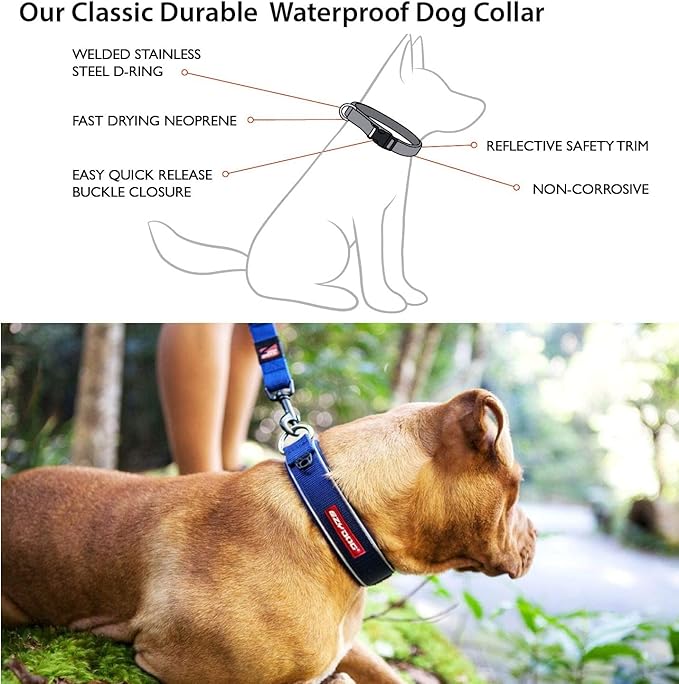 EzyDog Neo Dog Collar - Waterproof & Reflective Dog Collar with Soft Padded Neoprene for Comfort & Durable Nylon – Features Quick Release Buckle and Built-in ID Clip (Medium, Pink Camo)