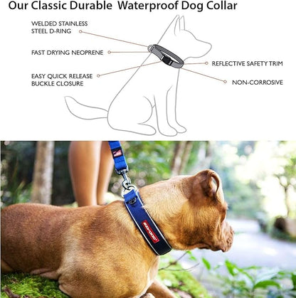 EzyDog Neo Dog Collar - Waterproof & Reflective Dog Collar with Soft Padded Neoprene for Comfort & Durable Nylon – Features Quick Release Buckle and Built-in ID Clip (Medium, Pink Camo)