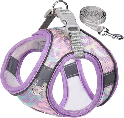 Step in Mesh Dog Harness and Leash Set - Breathable Air Mesh Reflective Escape Proof Dog Harness Vest - No Choke, Lightweight - M(Neck:12"-13.5",Chest:16"-18"), Purple-2
