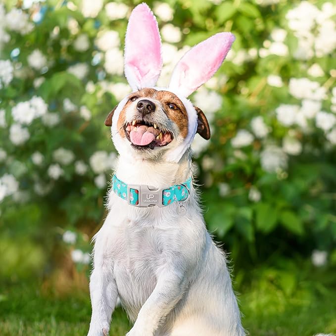 Easter Bunny Dog Collar, Cotton Easter Eggs Puppy Collar for Puppy Girl Boy Dogs, Lovely Bunny Pet Collar with Durable Buckle
