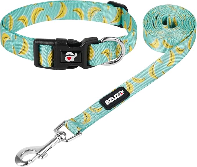 azuza Dog Collar and Leash Set, Cute Patterns on Nylon Collar and Matching Leash, Great Option for Medium Dogs
