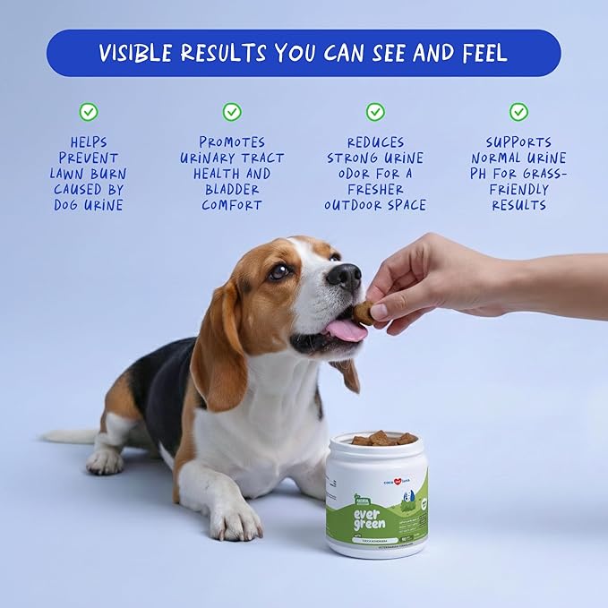 Grass Burn Spot Soft Chews - Pee Grass Spot Saver Caused by Dog Urine - Dog Urine Neutralizer for Lawn, with Canine Enzyme Blend, Probiotics, and Cranberry.