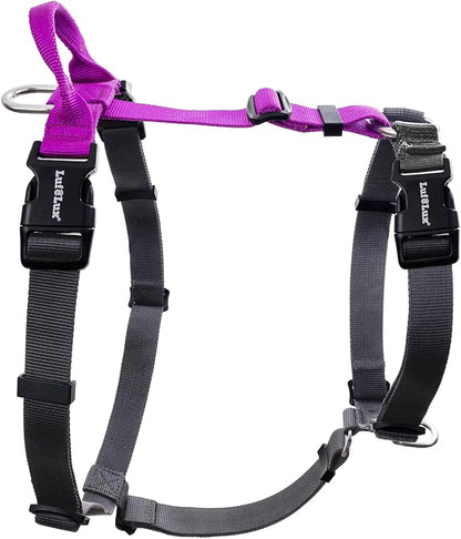 Non Restrictive No Pull Dog Harness, Neck Buckle Desgin, Lightweight Easy Walk Freedom Harness, Six Points Adjustment, Small Dogs Chest(17-23inches) Purple/Black