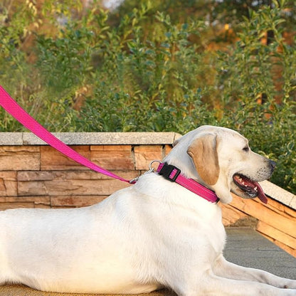 Dog Leash 6 FT Padded Handle Nylon Reflective Dogs Leashes for Small Dogs Hot Pink