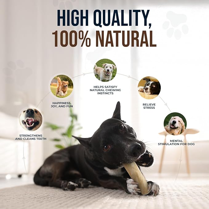 3Pcs Natural Coffee Wood Dog Chew and Hemp Ball Toys for Large & XL Dog Over 70lbs - 100% Organic Toys for Teeth Cleaning, Reduces Stress, Mental Stimulation