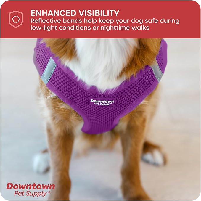 Downtown Pet Supply Step-in Dog Harness – No Pull, Adjustable Padded Mesh with Reflective Trim, Secure Buckle Strap – Comfortable & Breathable Small Dog Harness, X-Small, Purple
