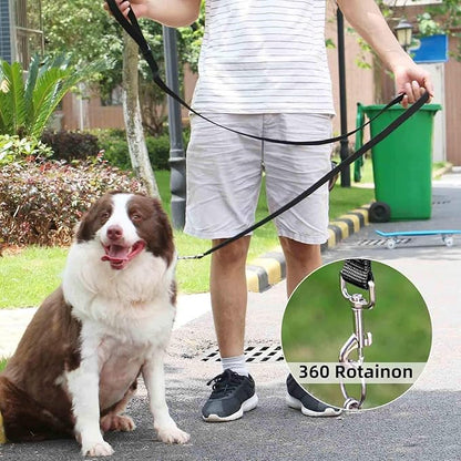 AMAGOOD 6 FT Puppy/Dog Leash, Strong and Durable Traditional Style Leash with Easy to Use Collar Hook, Great for Small, Medium and Large Dogs (1" x 6 ft, Black and Blue (2-Pack))
