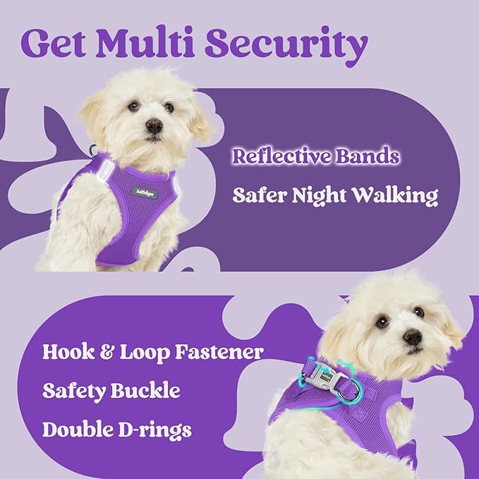 rabbitgoo Small Dog Harness, Step-in Soft Mesh Puppy Vest with Safety Buckle, Breathable Reflective Pet Harness for Small Medium Dogs, Purple L