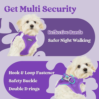 rabbitgoo Small Dog Harness, Step-in Soft Mesh Puppy Vest with Safety Buckle, Breathable Reflective Pet Harness for Extra Small Dogs, Purple XXS