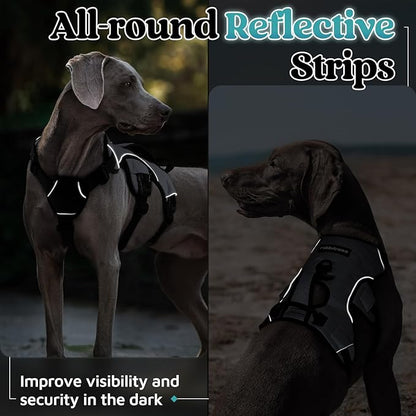 rabbitgoo Escape Proof Dog Harness, Soft Padded Full Body Pet Harness, Reflective Adjustable No Pull Vest with Lift Handle and Leash Clip for Large Dogs Walking Hiking Training, M, Grey