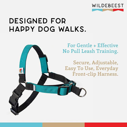 Wildebeest No Pull Dog Harness | Comfortable Training Harnesses | Effective No Pull Harness Design | Ideal for Small Dog and Puppy | 4-Point Adjustable (S -18~24 inch Girth, Turquoise)