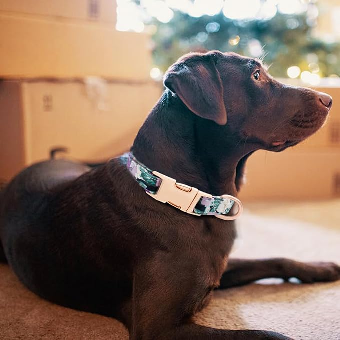 Dog Collar and Leash Set Girls Adjustable Puppy Collars with Floral Bow Tie for Small Medium Large Female Dogs, Purple Green Flower, L