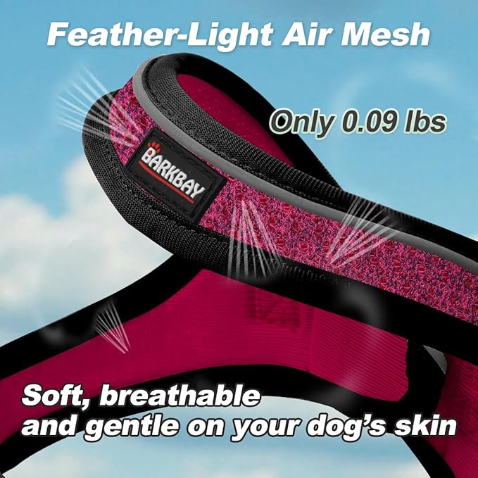 Dog Harness and Leash Set,Step in Small Sized Dog Harness,Soft Mesh,No-Chock,Reflective Adjustable,Secure with Hook & Loop Fastener,Puppy Vest for Small,Medium Dogs(Pink/Black,XXS)