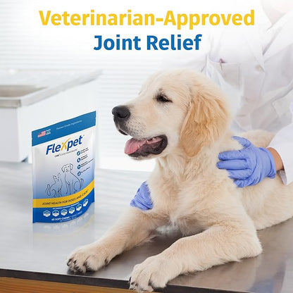 Hip & Joint Supplement for Dogs & Cats with Cetyl Myristoleate, Glucosamine, Collagen, MSM - Max Strength Joint Support for Mobility, Senior Pets, Large Breeds - Trial Pack (Bacon/Cheese)
