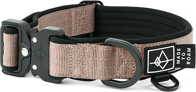 MADE TO ROAM Comfort Collar - Adjustable Nylon Dog Collar with Soft Comfortable Padding, Light Aviation Aluminum Metal Buckle for Small, Medium and Large Dogs (Utah Glow, Size 0)