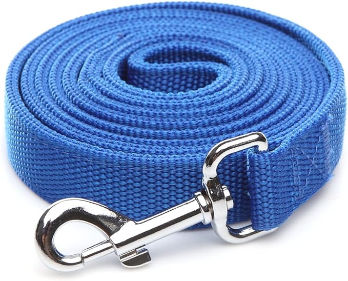 Strong Nylon Dog Leash with 2-Layer, 4 FT/ 6 FT/ 7FT Long, 1 Inch Wide for Medium Large Dogs (Blue, 1'' x 2 FT)