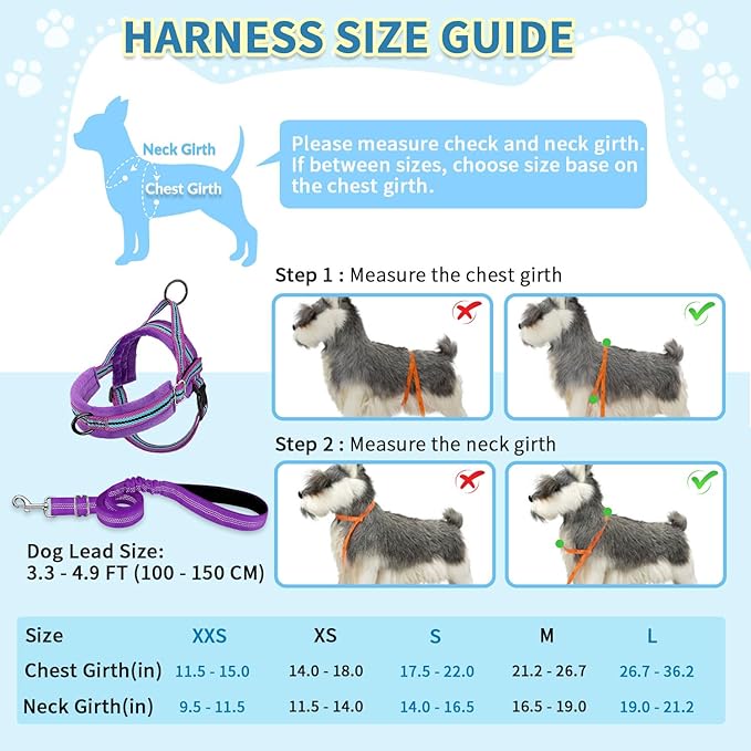SlowTon No Pull Small Dog Harness and Leash Set, Puppy Soft Vest Harness Neck & Chest Adjustable, Reflective Lightweight Harness & Anti-Twist Pet Lead Combo for Small Medium Dogs (PU-Front Clip, S)