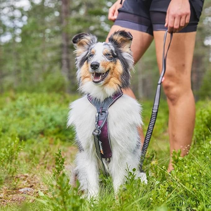 Non-stop dogwear Line Harness 5.0, Padded Dog Harness for Medium Dogs, Made for Hiking, Sport and Everyday Active Life with 3 Leash Clips, Reflectors and Ergonomic Fit, Orange, Size 6  