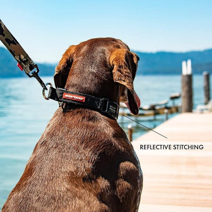 EzyDog Checkmate Martingale Collar for Dogs – Premium Nylon Training Dog Collar for Easy Control with no Choking (Medium, Orange)