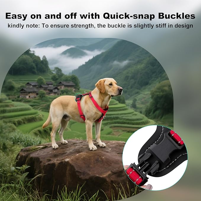 Plutus Pet Adjustable No Pull Dog Harness with Leather Accents, Heavy Duty Reflective Nylon Vest for Training, Hiking, Easy Walk Harness for Small, Medium, Large Dogs (Red, L)
