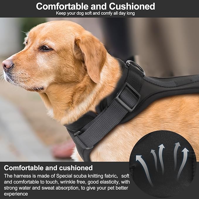 Wisedog No Pull Lightweight Dog Harness: Adjustable Breathable Mesh Pet Vest Harness with Soft & Comfortable Cushion, for Small Medium Large Dogs (Small, Black)
