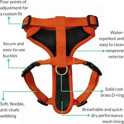 DJANGO Adventure Dog Harness - Stylish, & Durable Large Dog Harness for Outdoor Adventures and Everyday Wear - Sunset Orange Neoprene Adjustable Harness for Dogs with Reflective Piping & Brass D-Ring