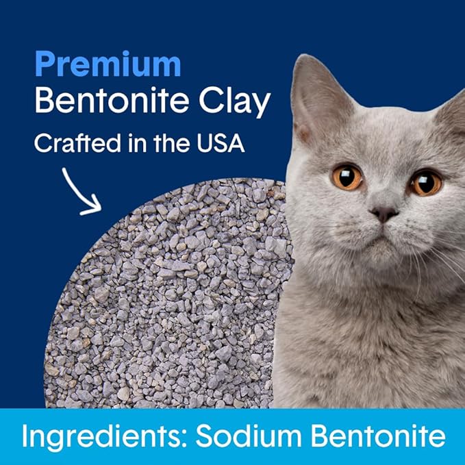 Boxie® Unscented 30 Day Natural Odor Control Cat Litter, 16lb Clumping Clay Kitty Litter (Pack of 2)