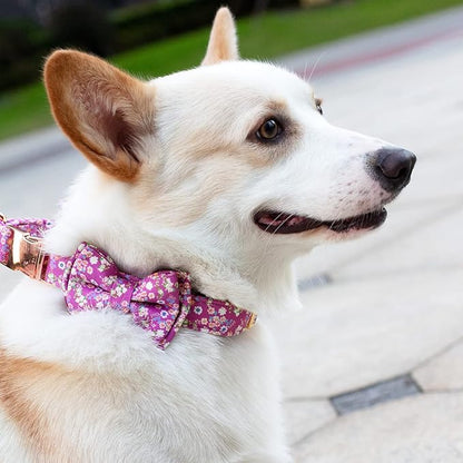Dog Collar and Leash Set Girls Adjustable Puppy Collars with Floral Bow Tie for Small Medium Large Female Dogs, Purple, M