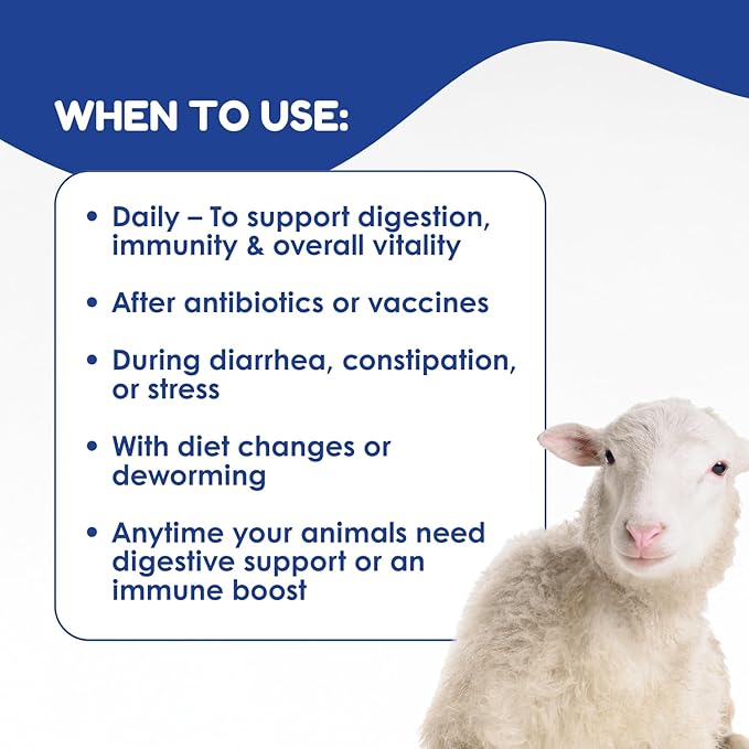 Ruminants Pre and Probiotic Paste (80g)- Pre and Probiotics with Vitamins and Minerals- 6 Strains and 8 Billion CFU- Immune and Gastro Health Support for All Ruminants: Bovines, Goats & More
