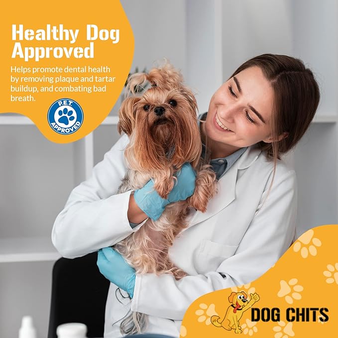 Dog Chits Beef Lung Fillets Dog and Puppy Treats – All Natural Chews for Dogs – Grain-Free, High-Protein, Low Fat Single Ingredient Dog Treat – Ideal for All Dogs – Large, 5 oz – Made in USA