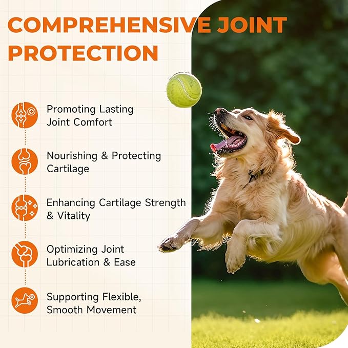 Joint Supplement for Dogs, 180 Chicken Flavor Chews, Glucosamine Chondroitin with MSM, Turmeric & Green Lipped Mussel, for Large Breed & Senior Dogs, Hip & Joint Pain Relief and Health Support