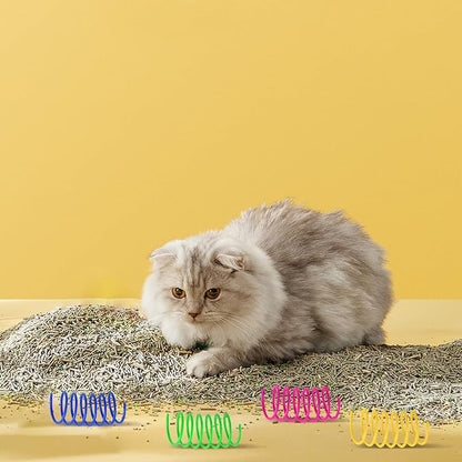 80 Pack 8 Colors Cat Spring Toys for Indoor Cats, Interactive Coil Springs Spiral Plastic Kitten Toys for Swatting, Biting, Hunting