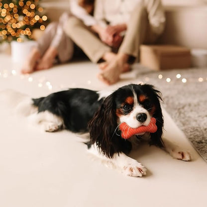 Playology Dog Toys | Dual Layer Bone Durable Chew Toy Bone for Dogs | Medium Grandma's Gravy Scented Toy - Easy to Clean and Made from Non Toxic Materials
