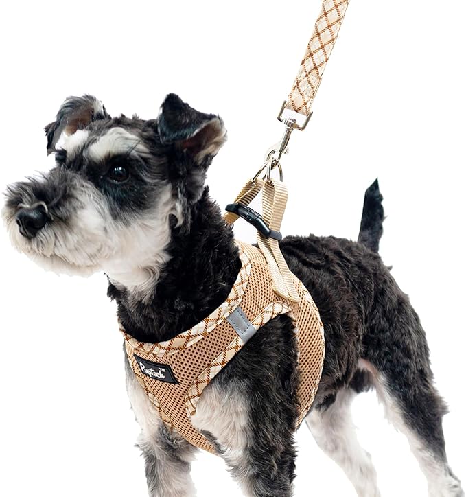 PUPTECK Dog Harness and Leash Set for Small Medium Dogs No Pull Step-in Soft Mesh Puppy Cat Vest Harnesses Reflective at Night, Beige L