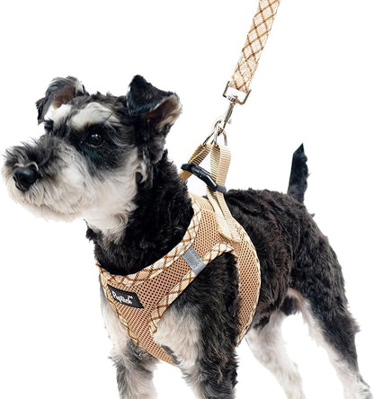 PUPTECK Dog Harness and Leash Set for Small Medium Dogs No Pull Step-in Soft Mesh Puppy Cat Vest Harnesses Reflective at Night, Beige M