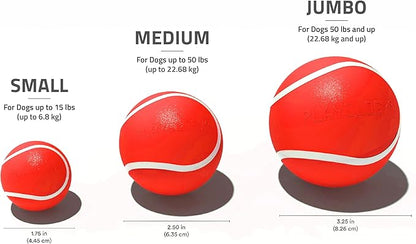 Playology Dog Toys | Squeaky Chew Ball - Bouncy Durable Floating Fetch Ball for Dogs | Medium Beef Scented Toy - Easy to Clean and Made from Non Toxic Materials