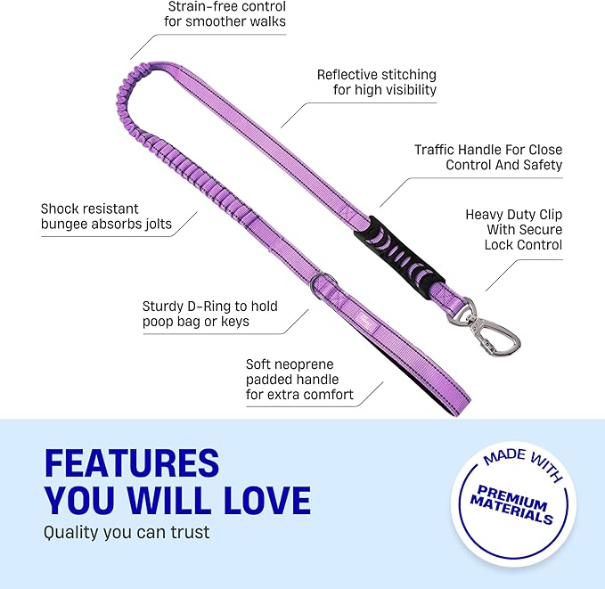 DF Co. Bungee Dog Leash | Strain Free & Shock Resistant for Control | Neoprene Padded Handle, Heavy-Duty Carabiner Clip, and D-Ring | Purple, Size Small