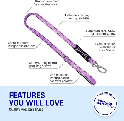 DF Co. Bungee Dog Leash | Strain Free & Shock Resistant for Control | Neoprene Padded Handle, Heavy-Duty Carabiner Clip, and D-Ring | Purple, Size Small
