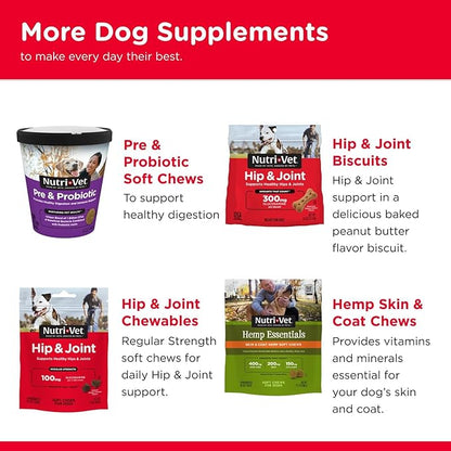 Nutri-Vet Hip & Joint Advanced Strength Dog Joint Supplement, Dog Glucosamine, Pet Supplements, Formulated with Glucosamine Chondroitin and MSM, Pet Supplies, Puppy Essentials, 90 Count