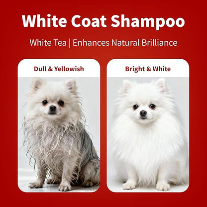 Arf Arf Dog Shampoo Whitening Formula, White - Patented Brightening Formula Removes Yellowing, Mud & Tear Stains-Makes Coat Sparkling White & Soft-Gentle pH Balanced for All Breeds-Fresh Scent-16oz