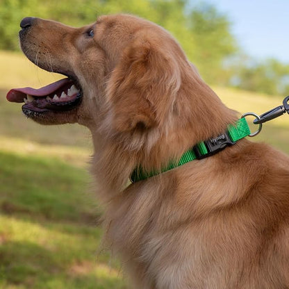 Hyhug Dog Collar for Large Dogs, Green Heavy Duty | Quick Release Nylon Buckle Collar, Adjustable & Durable Pet Supplies for Boy & Girl Dogs (Large, Lime Green)