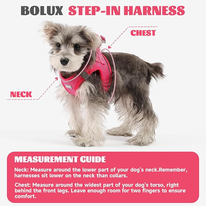 Bolux Dog Harness Small Sized and Leash Set, Step in Soft Light Puppy Vest, Breathable Mesh Pet Harness, Reflective for Safe Easy Walking.