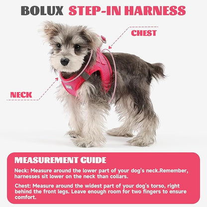 Bolux Dog Harness Small Sized and Leash Set, Step in Soft Light Puppy Vest, Breathable Mesh Pet Harness, Reflective for Safe Easy Walking.