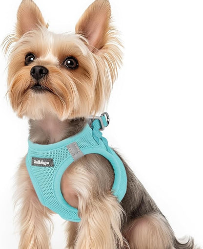 rabbitgoo Small Dog Harness, Step-in Soft Mesh Puppy Vest with Safety Buckle, Breathable Reflective Pet Harness for Small Sized Dogs, Mint Blue XS