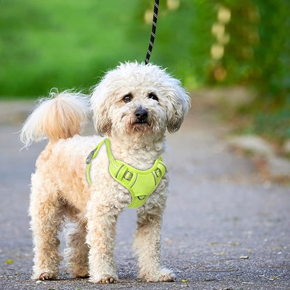 BARKBAY No Pull Dog Harness Large Reflective Dog Harness with Front Clip and Easy Control Handle for Walking Training Running with ID tag Pocket(Sunlight,XS)