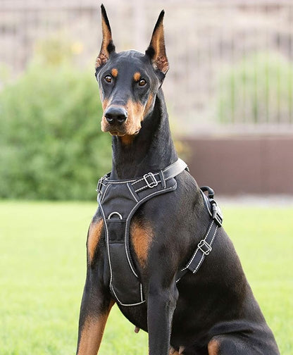 4Knines No Pull Dog Harness for Large Dogs – Adjustable Reflective Harness with Front & Back Leash Clips – Durable, Easy Control for Walks & Training (Black)